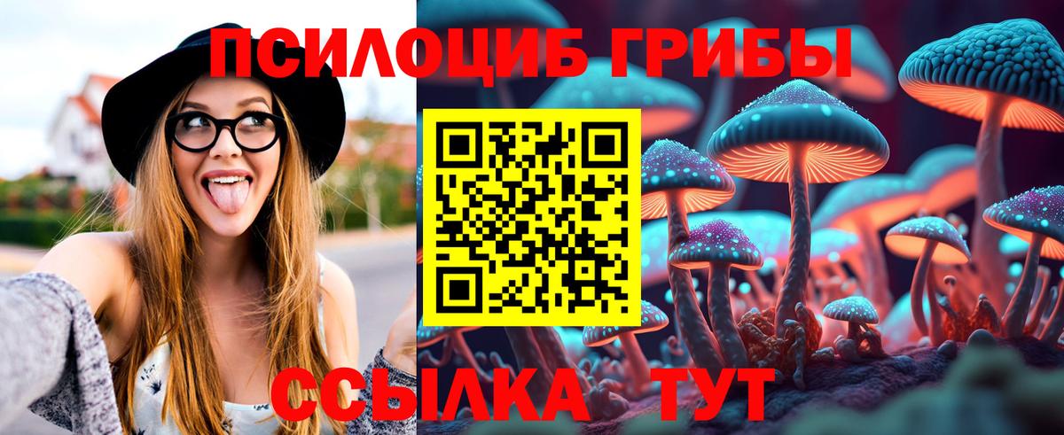 Галлюциногенные грибы MAGIC MUSHROOMS Кострома